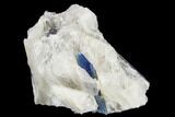 Vibrant Blue Kyanite Crystals In Quartz - Brazil #113489-1